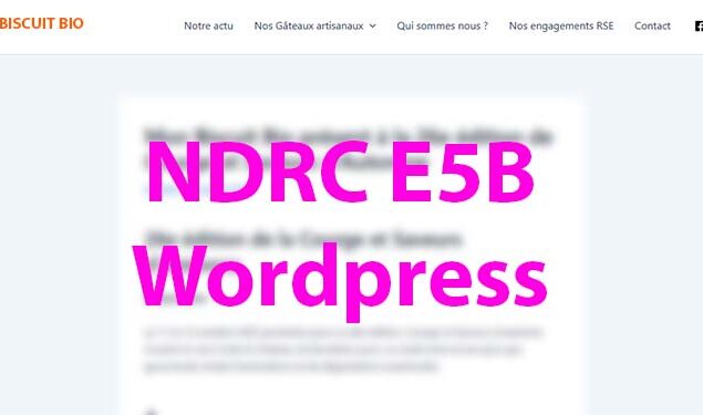Qu&rsquo;est qu&rsquo;il vous attend pour l&rsquo;épreuve E5B en BTS NDRC avec WordPress !