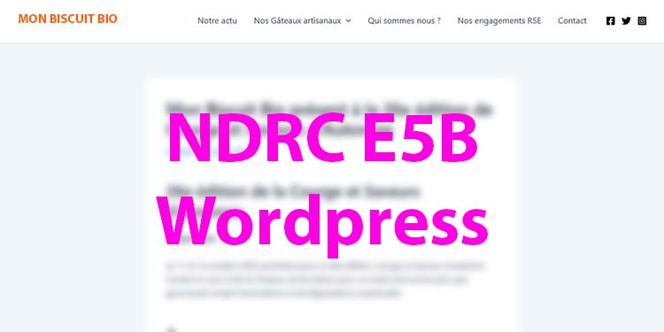 Qu&rsquo;est qu&rsquo;il vous attend pour l&rsquo;épreuve E5B en BTS NDRC avec WordPress !